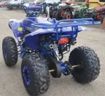ATV WARRIOR RS 125CC - Miniatura 2