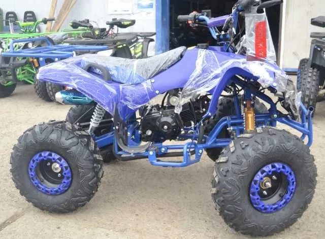 ATV WARRIOR RS 125CC - Imaginea 3