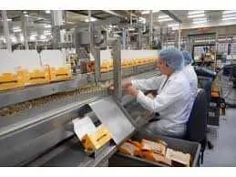 Fabrica de biscuiti din Germania