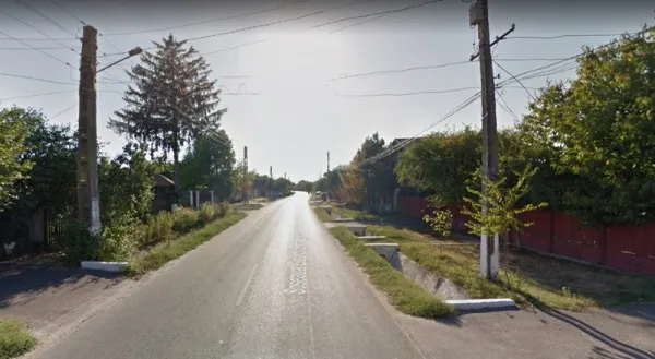 GRUIU - teren intravilan cu suprafata de 4700 mp - Imaginea 2