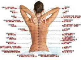 Aplicatorul pentru spinare acupunctural. - Imaginea 7