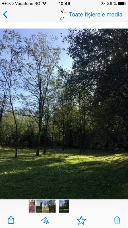 Proprietar vand teren 1200 mp In Alunis, Prahova - Imaginea 2