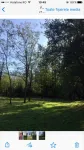 Proprietar vand teren 1200 mp In Alunis, Prahova - Miniatura 2