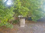 Vand casa cu gradina - Miniatura 2