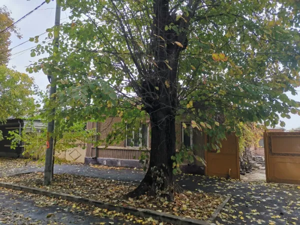 Casa de vanzare in Galati, Str. Alexandru cel Bun, 180. 000 euro - Imaginea 3