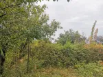 Casa de vanzare in Galati, Str. Alexandru cel Bun, 180. 000 euro - Miniatura 7