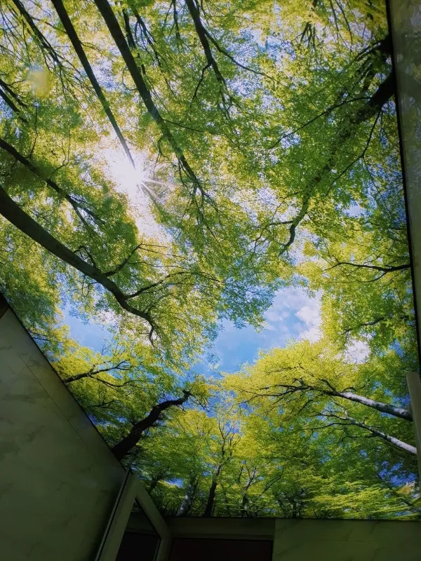 Tavane extensibile Botosani " Sky Art Design" - Imaginea 8