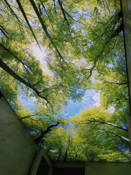 Tavane extensibile Botosani " Sky Art Design" - Imaginea 8