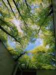 Tavane extensibile Botosani " Sky Art Design" - Miniatura 8