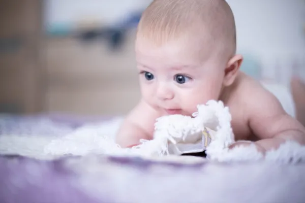 Foto Video Nunta Botez - Imaginea 1