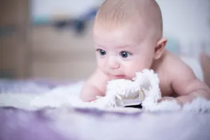 Foto Video Nunta Botez