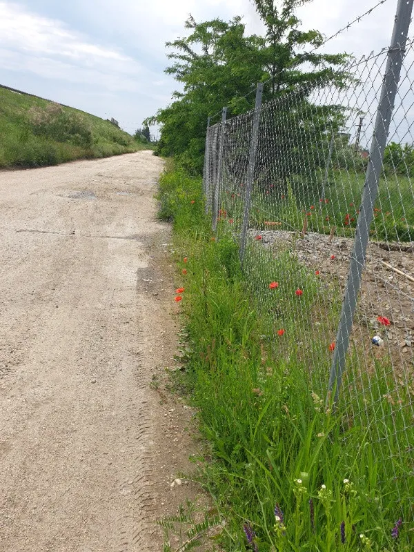 Teren Intravilan stradal DE 70 Isalnita, langa pensiune - Imaginea 1