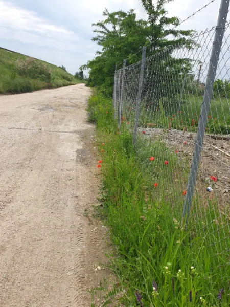 Teren Intravilan stradal DE 70 Isalnita, langa pensiune - Imaginea 1