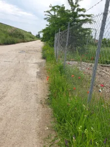 Teren Intravilan stradal DE 70 Isalnita, langa pensiune