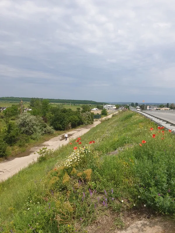 Teren Intravilan stradal DE 70 Isalnita, langa pensiune - Imaginea 2