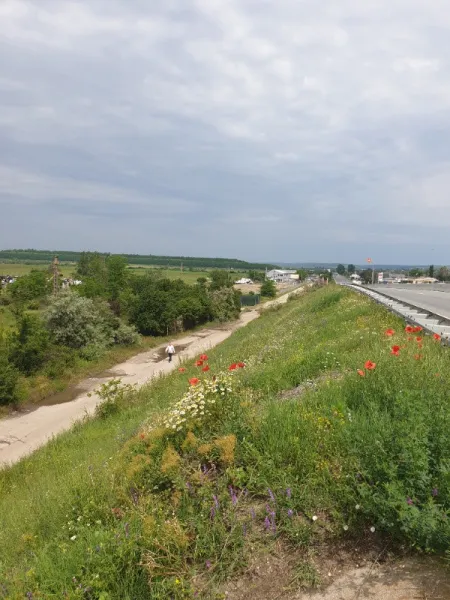 Teren Intravilan stradal DE 70 Isalnita, langa pensiune - Imaginea 2