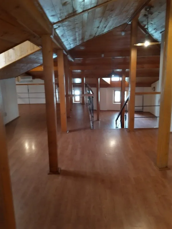 Proprietar inchiriez vila P+ M Sala Palatului nemobilata Pret 2250 euro - Imaginea 6