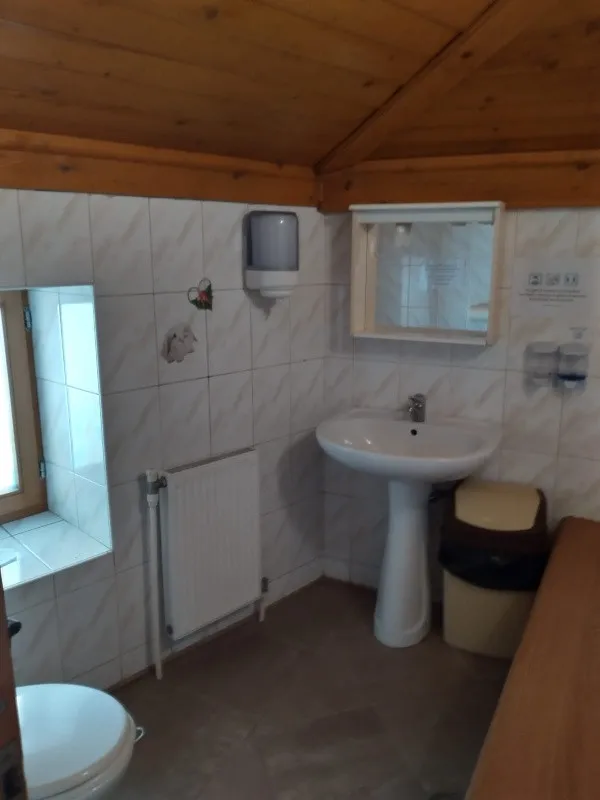 Proprietar inchiriez vila P+ M Sala Palatului nemobilata Pret 2250 euro - Imaginea 8