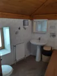 Proprietar inchiriez vila P+ M Sala Palatului nemobilata Pret 2250 euro - Miniatura 8