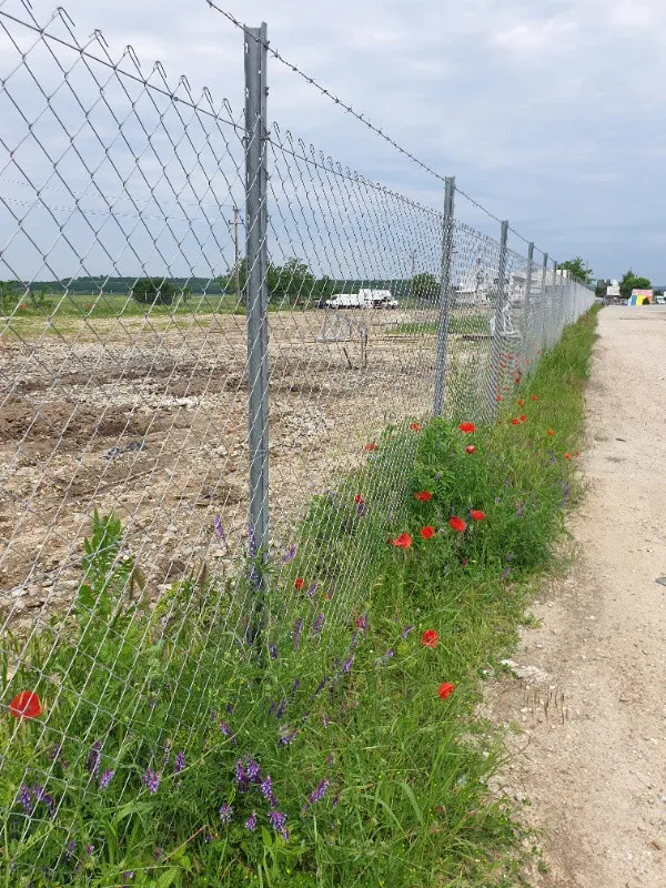 Teren Intravilan stradal DE 70 Isalnita, langa pensiune - Imaginea 6