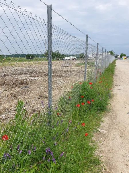 Teren Intravilan stradal DE 70 Isalnita, langa pensiune - Imaginea 6
