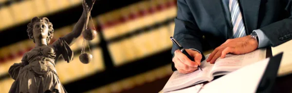 Avocat cu experienta - Imaginea 1