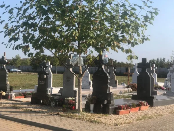 Locuri de veci - NOUL Cimitir Eparhial Sfantul Nicolae- Straulesti - Imaginea 3