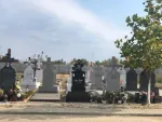 Locuri de veci - NOUL Cimitir Eparhial Sfantul Nicolae- Straulesti - Miniatura 4