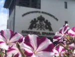 Locuri de veci - NOUL Cimitir Eparhial Sfantul Nicolae- Straulesti - Miniatura 5