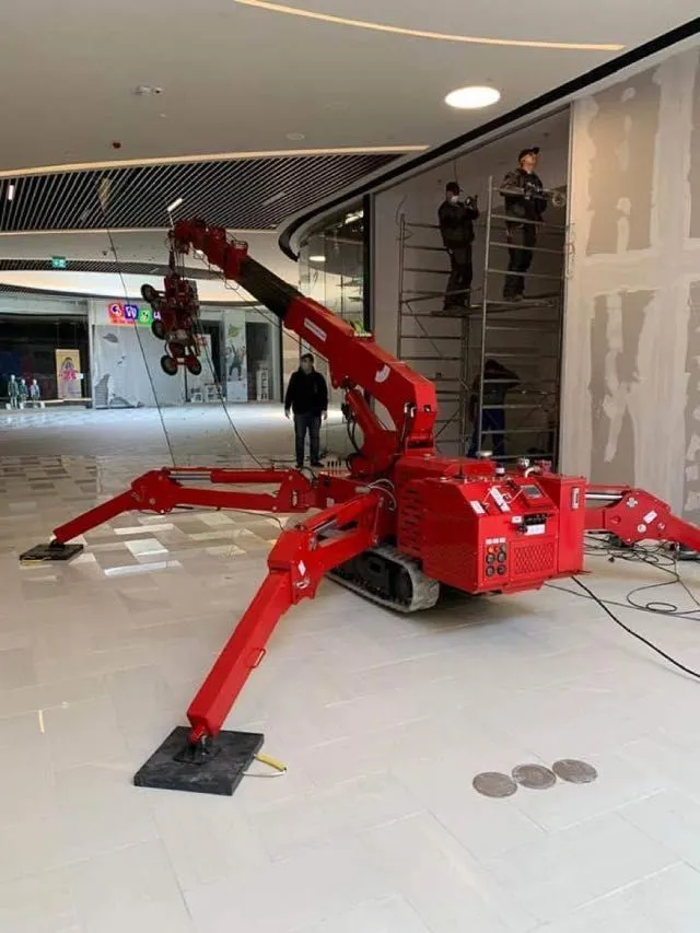 Inchiriere macara spider si stivuitor - Imaginea 2