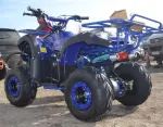 ! PROMOTIE ! ATV NITRO MOTORS TORONTO MIDDI  M7, 2021, AUTOMAT - Miniatura 3