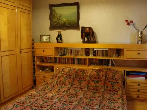  Apartament 3 camere strada Rozelor bonus garaj - Imaginea 2