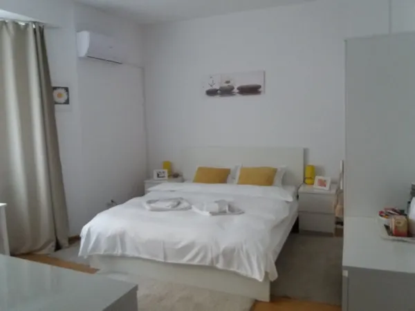 Ofer spre inchiriere Garsoniera Ultracentral - Imaginea 8