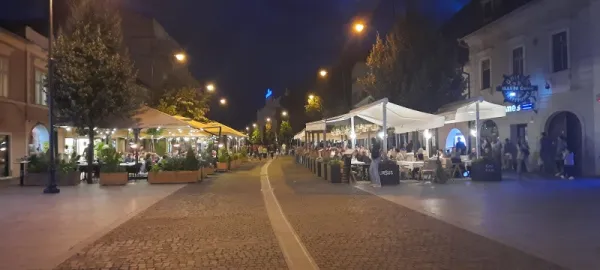 Garsoniera in zona ultracentrala - strada N. Balcescu - Imaginea 10