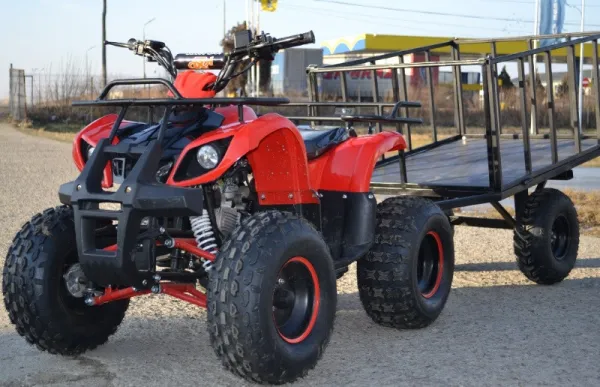 ATV GRIZZLY QUAD  M8, 2021, AUTOMAT - Imaginea 1
