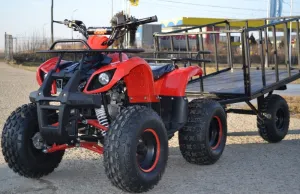 ATV GRIZZLY QUAD  M8, 2021, AUTOMAT