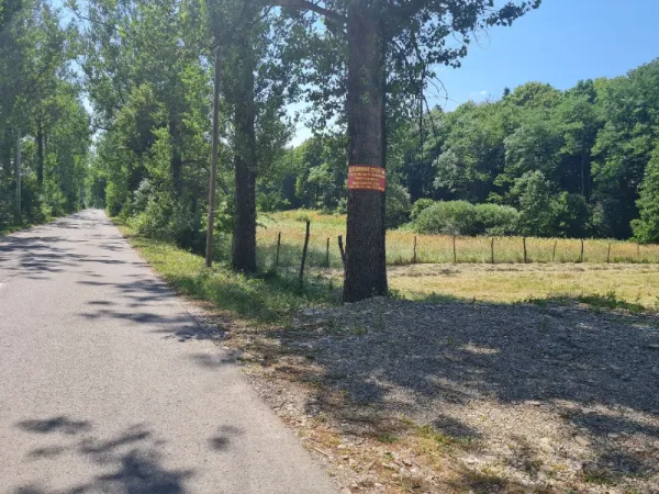 Inchiriez teren intravilant zona Manastirea Neamt - Imaginea 3