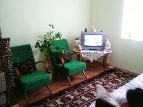 Apartament  2 CD , Husi, centru, confort 1 - Imaginea 3