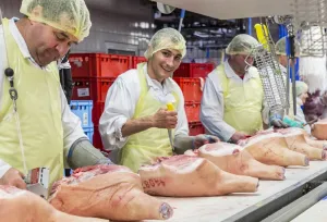 Angajam muncitori in productie Vion Germania - angajator direct