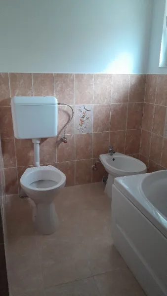 Vand CASA IN sat Barcea Mica - Imaginea 8