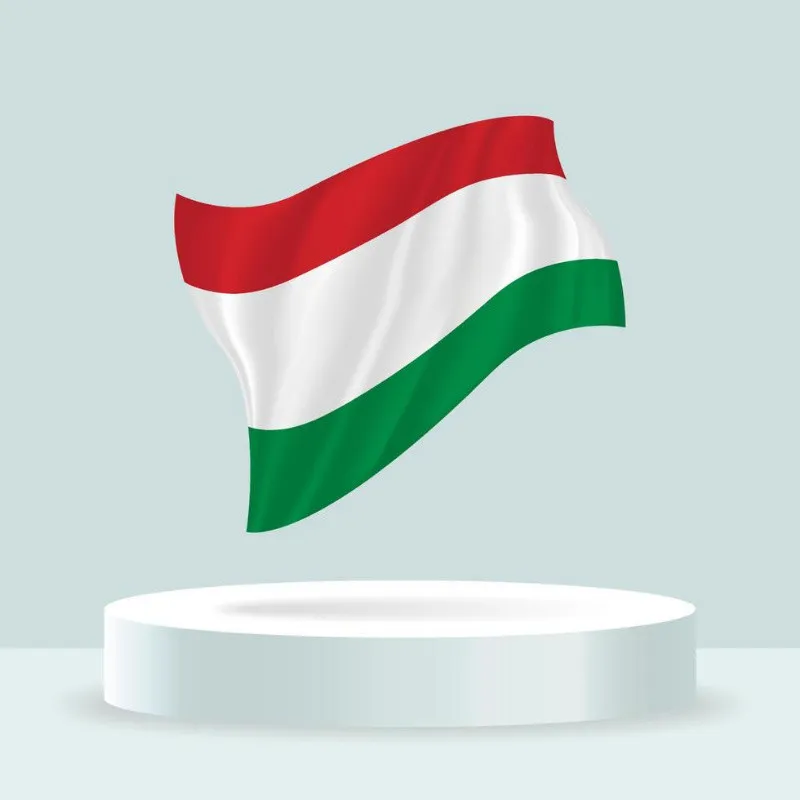 Traducem bine - Alba- Iulia - Romania - Imaginea 5