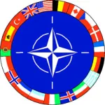 Traduceri rapide in Constanta & Romania - Miniatura 1