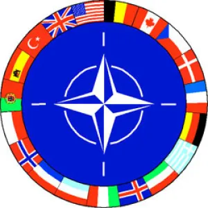 Traduceri rapide in Constanta & Romania