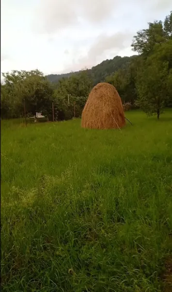 Vand Casa Breaza, Prahova - Imaginea 3
