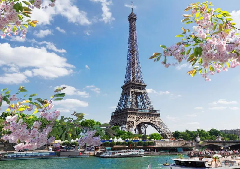 Meditez limba franceza - Imaginea 1