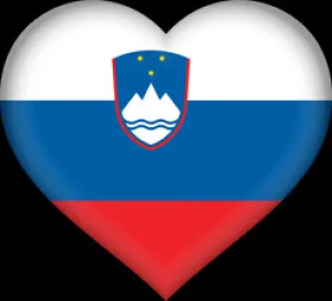 Traduceri rapide Buzau - online