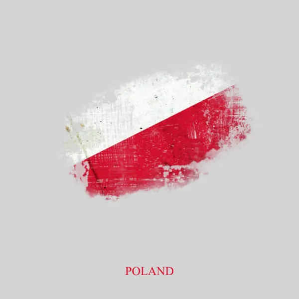 Servicii specializate de traducere in Slobozia- Ialomita - Imaginea 6