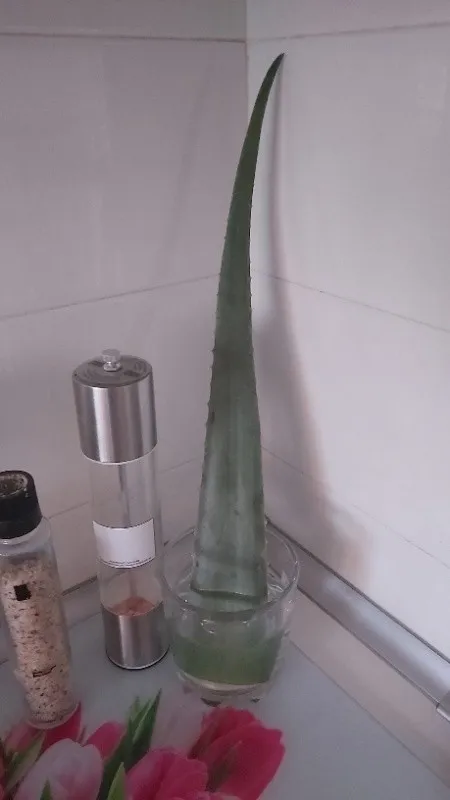 Vand aloe vera - Imaginea 2