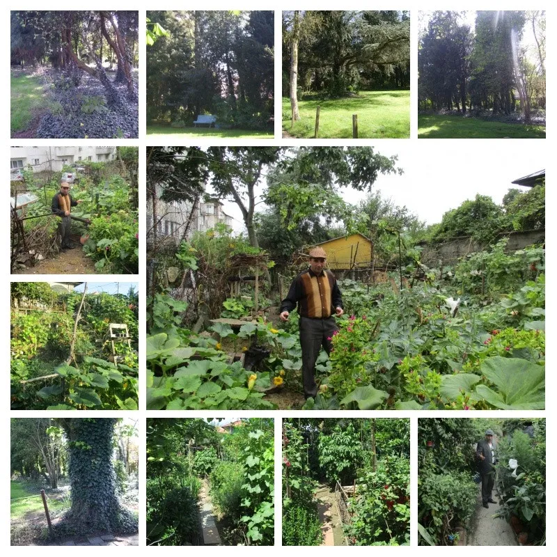 Colaborare Horticultura - Proiect cu baza contractuala - Imaginea 1