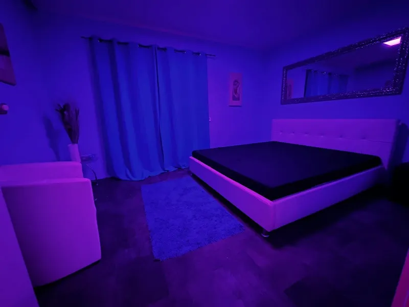 GARANTIE ZILNICA - NightClub RedHouse Homburg- Germania - Imaginea 7